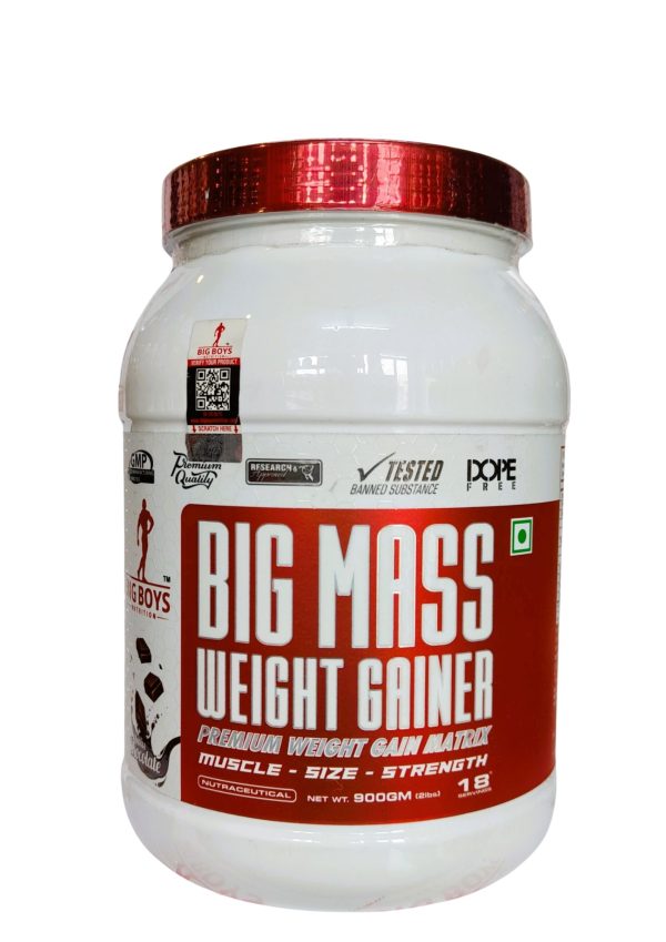 Big Boys Nutrition Big Mass Weight Gainer 900 Gms